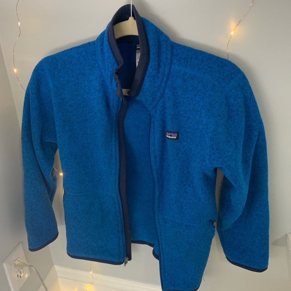 Blue Patagonia jacket